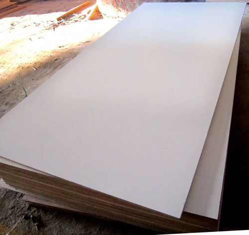 人人都是潛力項目經理 一文讀懂展裝基礎材料之針刺地毯